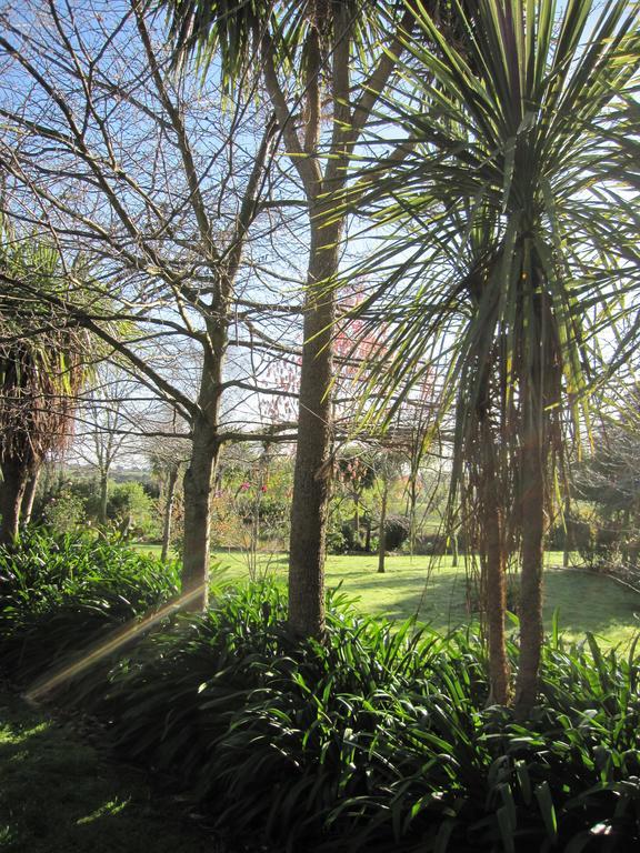 HalcombeThyme Out Estate住宿加早餐旅馆 外观 照片
